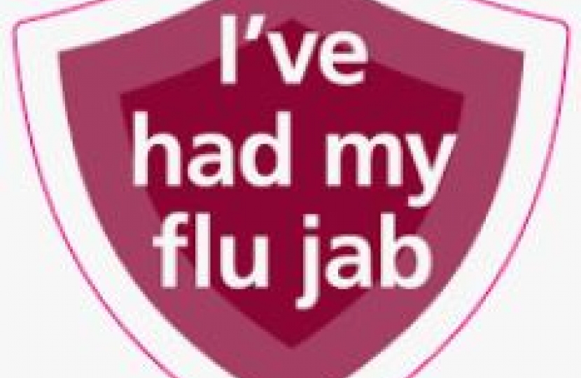 flu pic