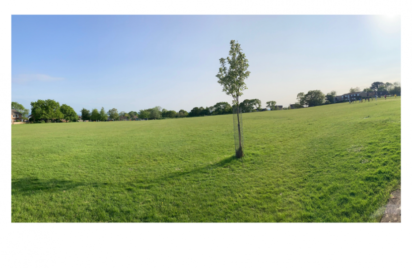 Lytchett Matravers Recreation ground