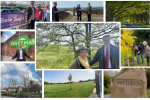 Montage of rural pictures 