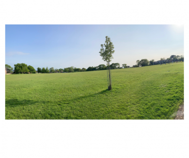 Lytchett Matravers Recreation ground